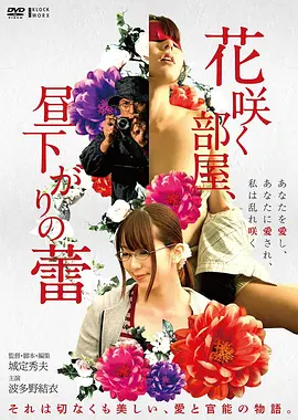 小姐 朴赞郁高清韩影